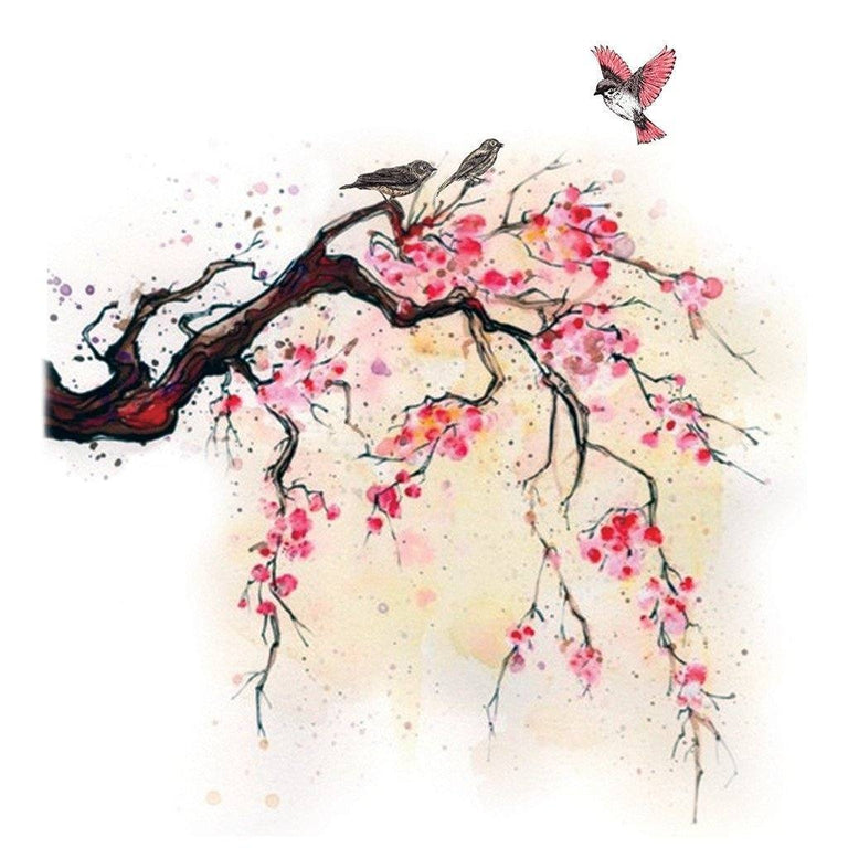 collection-banner-image